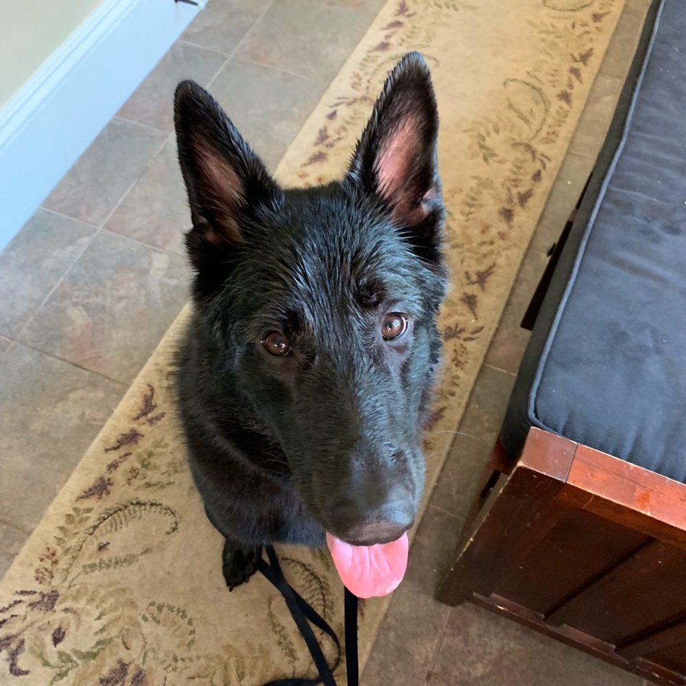 Meet your Posher, Nanphana